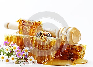 natural organic flower honey