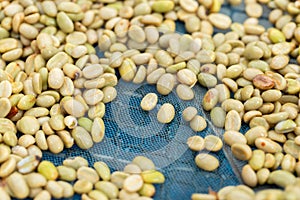 natural organic green coffee beans