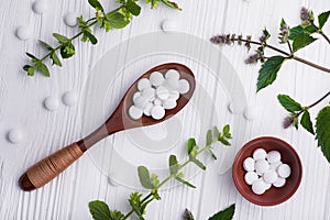 Natural organic pills with herbal plant