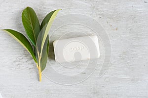 Natural organic soap with green leaves