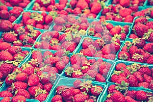 Natural organic strawberries in pint baskets at local farmers market. Vibrant Colors. Summer, Autumn Harvest. Healthy
