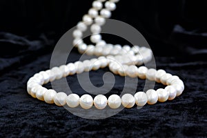 Natural pale pearl necklace on a black velvet