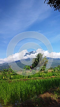 Natural Panorama in Pagar Alam city photo