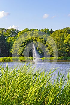 Natural panorama view lake fountain green plants trees forest Germany