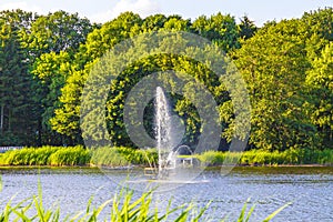 Natural panorama view lake fountain green plants trees forest Germany