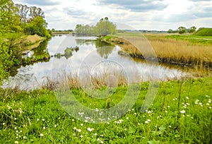 Natural panorama view with moor water coast trees forest Germany