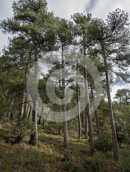 Natural Park of Cazorla, Segura y las Villas