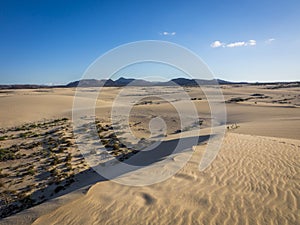 Natural-park, Corralejo , Fuerteventua, Canary Islands, Spain