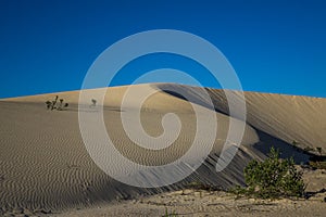 Natural-park, Corralejo , Fuerteventua, Canary Islands, Spain