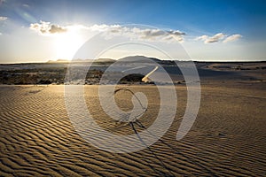 Natural-park, Corralejo , Fuerteventua, Canary Islands, Spain