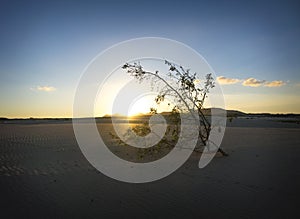 Natural-park, Corralejo , Fuerteventua, Canary Islands, Spain