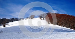 Natural park, covered with snow