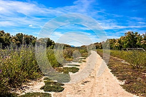 Natural Park â€œLaguna de Fuente de Piedraâ€.