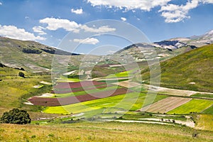 Natural park of Monti Sibillini. Italy photo