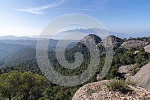 Natural park of `Sant LlorenÃâ¡ de Munt i lÃÂ´Obac`. photo