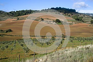 The natural park Sierra de las Nieves, Spain