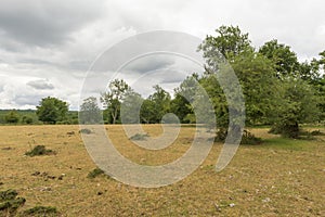 Natural park of Urbasa and andia photo