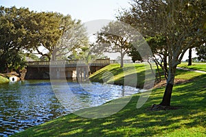 Natural parkland with lake. Florida, USA