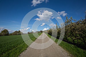Natural path, Green Grass and blue sky with clouds