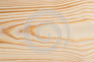 The natural pattern of a clean and freshly cut pine tree plank. Wood grain structure