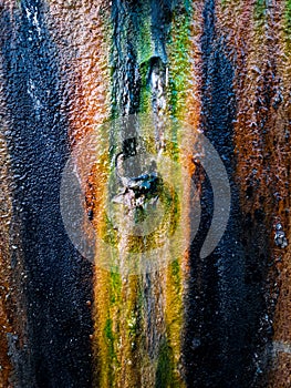 A natural pattern of fungus on a water fall stone.