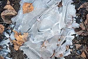 Natural pattern of ice and dry birch leaves on the ground in late autumn