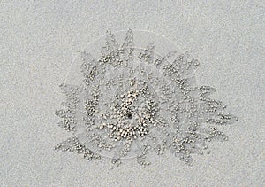 Natural Pattern of Sand Pellets created by Sand Bubbler Crab on a Sandy Beach