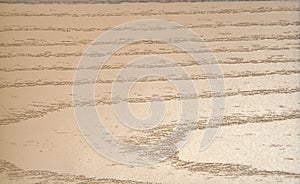 Natural pattern of sawn wood of a light shade. Background, texture