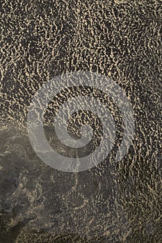 Surface of water covered with pollen viewed from above