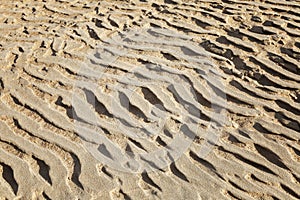 Natural patterns in sand in dunes. Space for text. Background