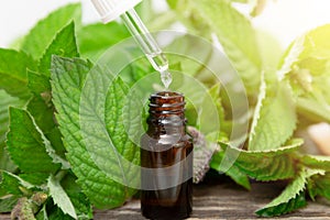 Natural peppermint essential oil in a glass bottle with fresh mint leaves on wooden background