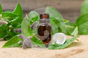 Natural peppermint essential oil in a glass bottle with fresh mint leaves on wooden background