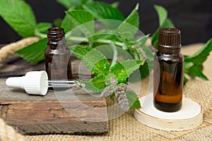 Natural peppermint essential oil in a glass bottle with fresh mint leaves on wooden background