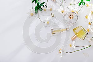 Natural perfume concept. Bottles of perfume with white flowers. Floral fragrance