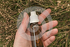 natural pharmacy. homeopathic remedies.Treatment with herbal remedies.Herbal tincture in hand in heather. Herbs and