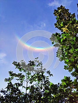 a natural phenomenon called the Solar Halo