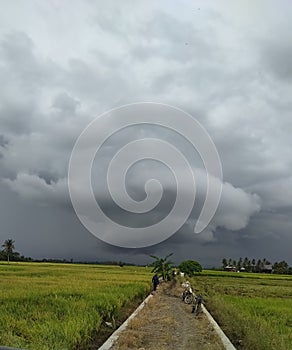 Natural phenomenon of circular clounds visible from rice fields photo