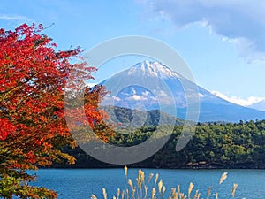 Natural photography in Japan, mount Fuji mountain with snow peak, lake and red tree