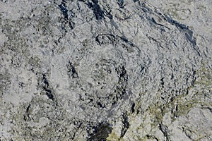 Natural Photography Stones Natural park photo