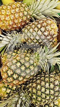 Natural pineapple from costa rica