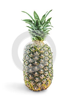 Natural pineapple isolated on white