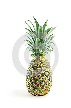 Natural Pineapple Isolated on White