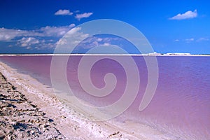 Natural Pink lagoon in Las Coloradas in Mexico photo