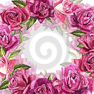 Natural pink roses background. Frame of red and pink roses, watercolor illustration.