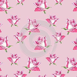 Natural pink roses background. Seamless pattern of red and pink roses, watercolor illustration.