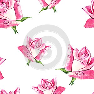 Natural pink roses background. Seamless pattern of red and pink roses, watercolor illustration.