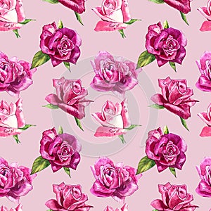 Natural pink roses background. Seamless pattern of red and pink roses, watercolor illustration.