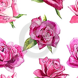 Natural pink roses background. Seamless pattern of red and pink roses, watercolor illustration.