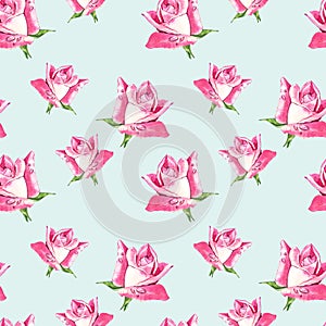 Natural pink roses background. Seamless pattern of red and pink roses, watercolor illustration.