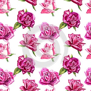 Natural pink roses background. Seamless pattern of red and pink roses, watercolor illustration.